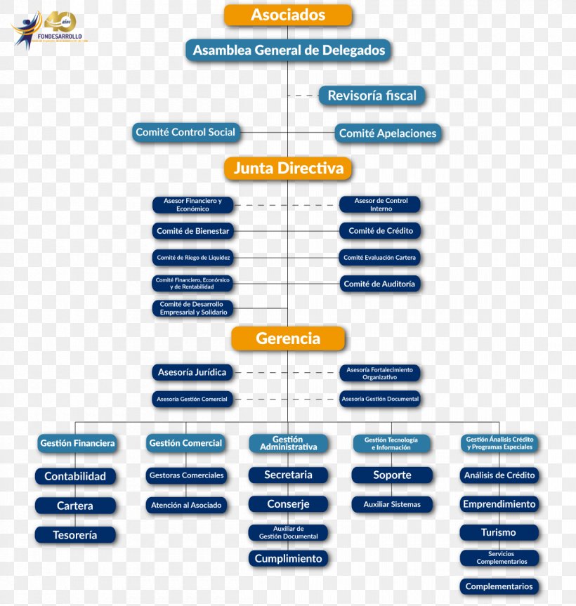 Organizational Chart Empresa Micro-enterprise Correo Corporativo, PNG, 1200x1263px, Organizational Chart, Area, Brand, Correo Corporativo, Credit Download Free