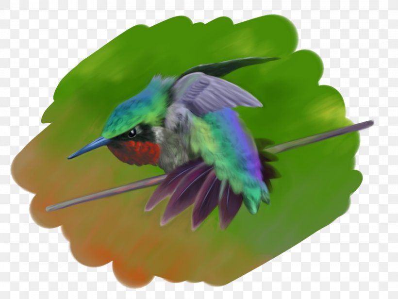 Satsuki Kusakabe Hummingbird Catbus Drawing, PNG, 1066x801px, Satsuki Kusakabe, Art, Beak, Bird, Catbus Download Free