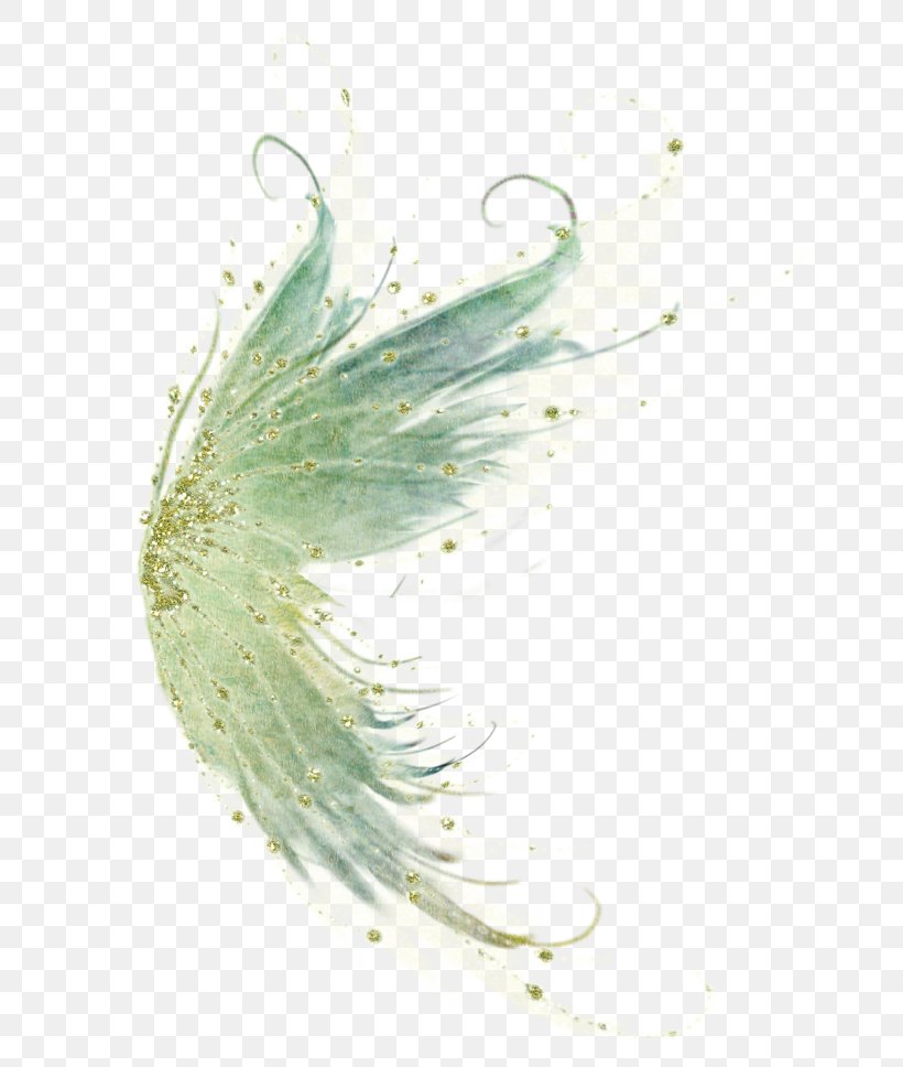 Bird Feather Wing Fairy, PNG, 700x968px, Bird, Close Up, Drawing, Fairy, Fairy Tale Download Free