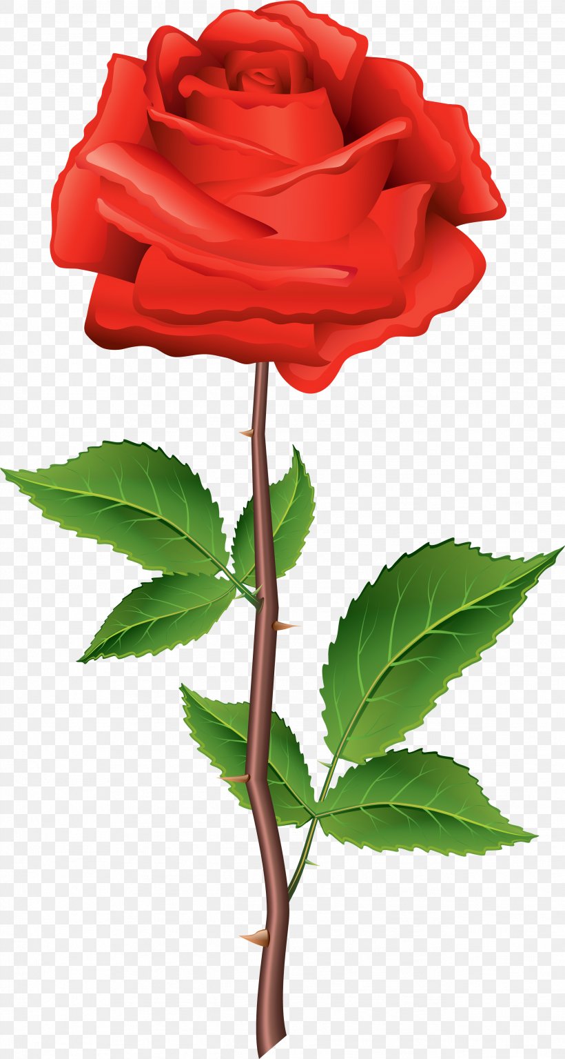 Clip Art Rose Flower Plant Stem, PNG, 2594x4859px, Rose, Artificial Flower, Blue Flower, Botany, Bud Download Free