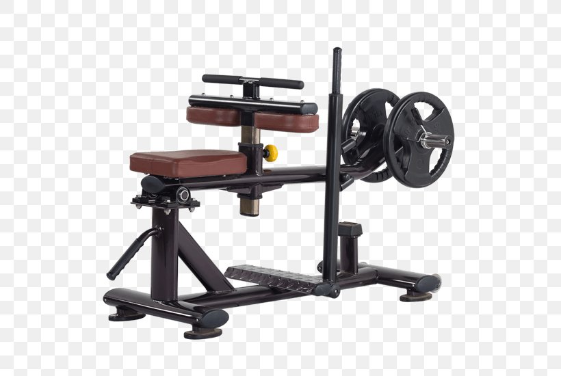 Exercise Machine Fitness Centre Exercise Equipment Aerobic Exercise, PNG, 550x550px, Exercise Machine, Aerobic Exercise, Bench, Bodybuilding, Calf Raises Download Free
