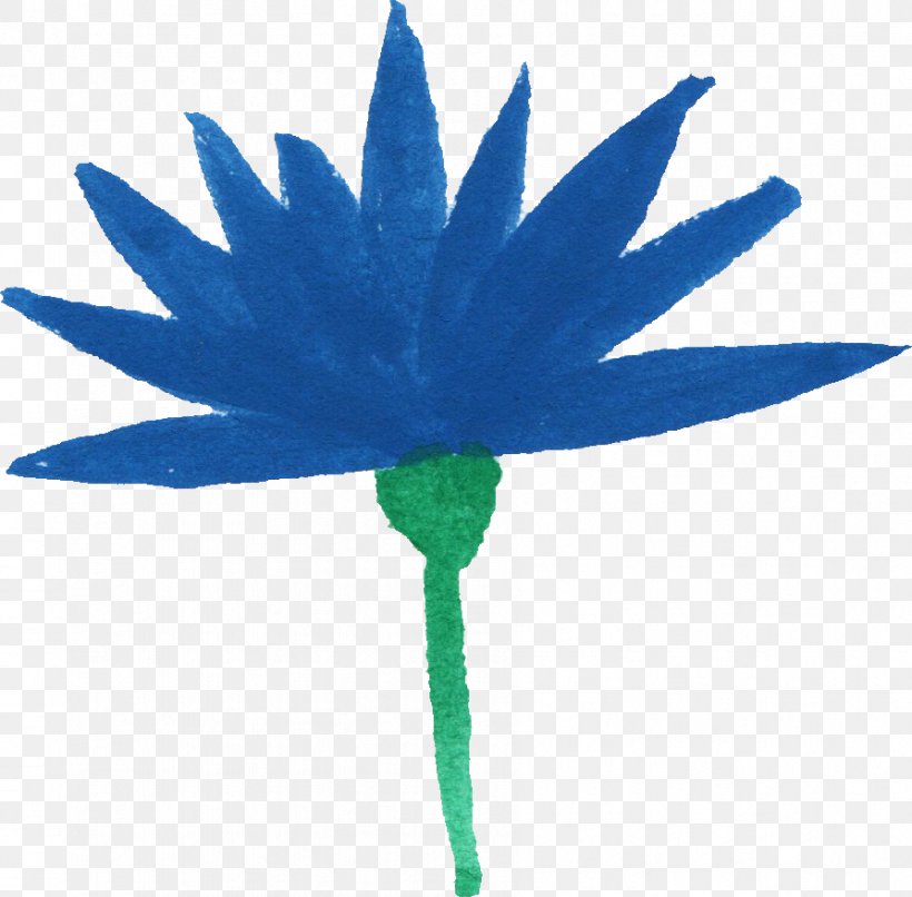 Plant Stem Flower Watercolor Painting Turquoise, PNG, 894x879px, Plant Stem, Aqua, Azure, Blue, Cobalt Blue Download Free