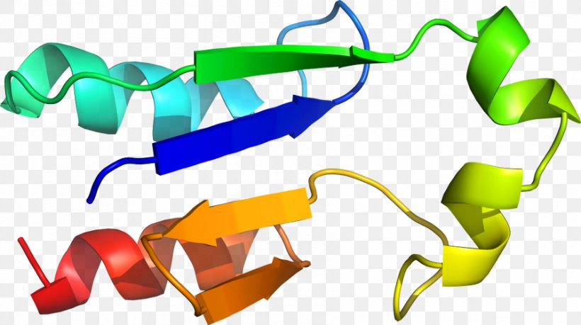 Plastic Clip Art, PNG, 893x500px, Plastic, Area, Artwork, Cartoon, Organism Download Free