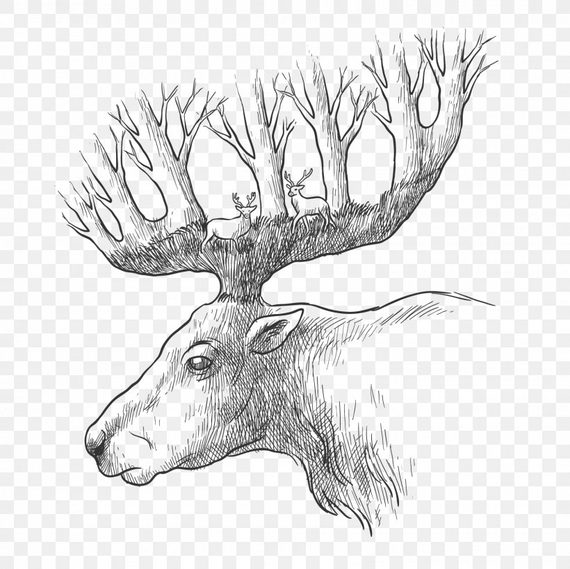 Red Deer Gray Wolf Drawing, PNG, 1600x1600px, Deer, Antler, Black And White, Cattle Like Mammal, Drawing Download Free
