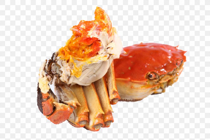 Yangcheng Lake Large Crab Chinese Mitten Crab, PNG, 1200x800px, Yangcheng Lake, Animal Source Foods, Cangrejo, Chinese Mitten Crab, Crab Download Free