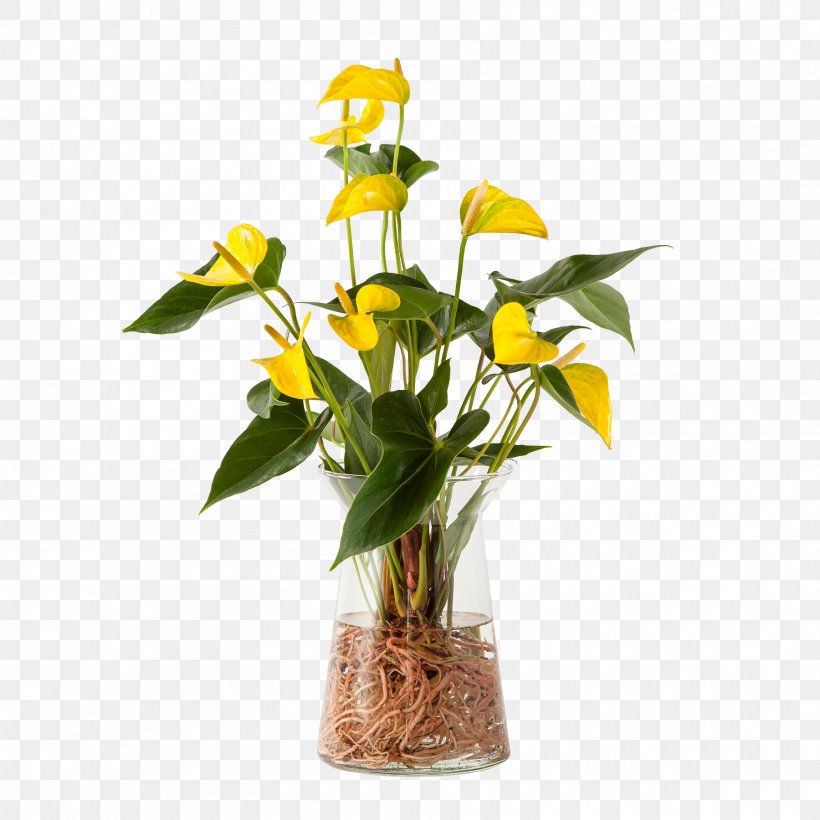 Floral Design Cut Flowers Vase Flower Bouquet, PNG, 1800x1800px, Floral Design, Cut Flowers, Floristry, Flower, Flower Arranging Download Free