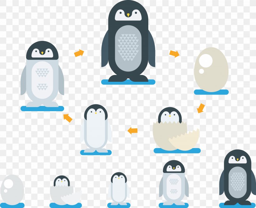 Penguin Cartoon Illustration, PNG, 4873x3962px, Penguin, Bird, Cartoon, Egg Incubation, Flightless Bird Download Free