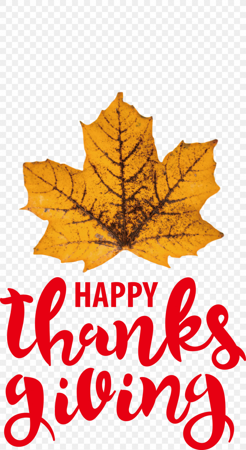 Thanksgiving Autumn, PNG, 1638x3000px, Thanksgiving, Autumn, Biology, Leaf, Maple Leaf M Download Free