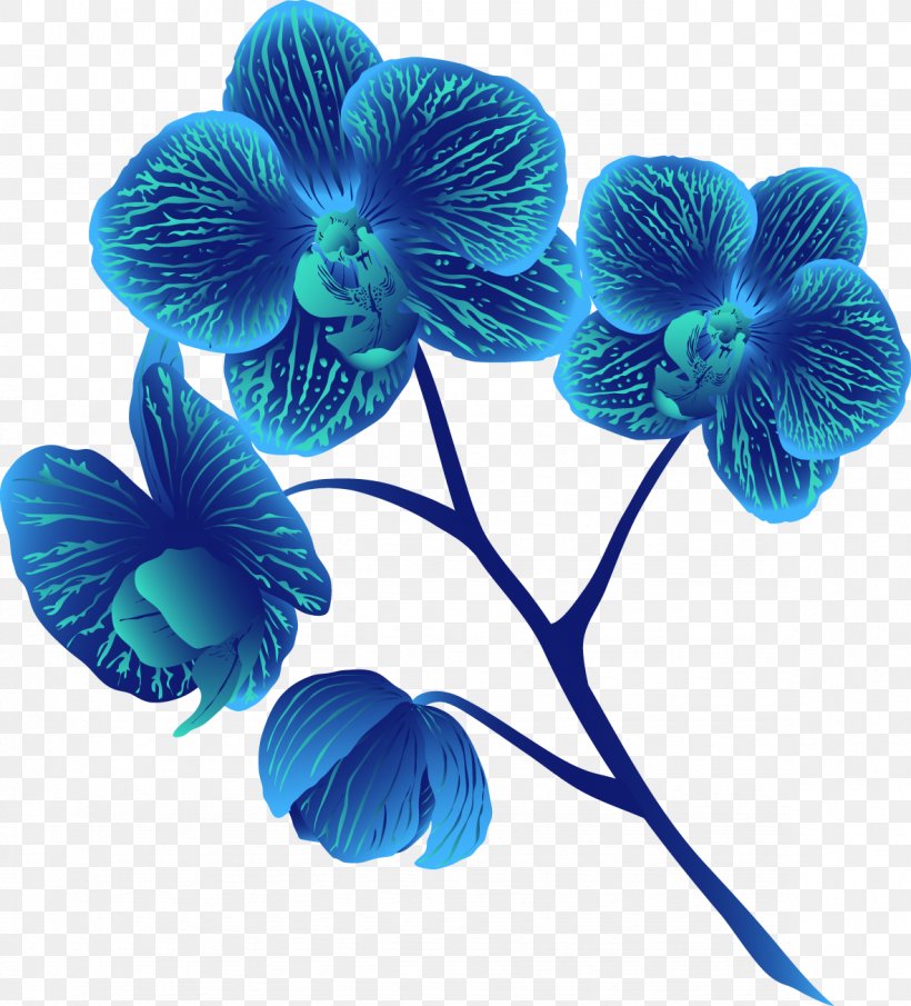 Moth Orchids Cut Flowers Petal Turquoise, PNG, 1181x1304px, Moth Orchids, Blue, Cut Flowers, Flower, Flowering Plant Download Free