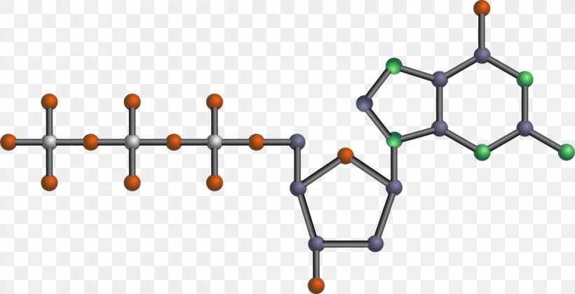 Nucleic Acid Adenine Biomolecule Nucleotide, PNG, 1200x616px, Nucleic Acid, Acid, Adenine, Biochemistry, Biology Download Free