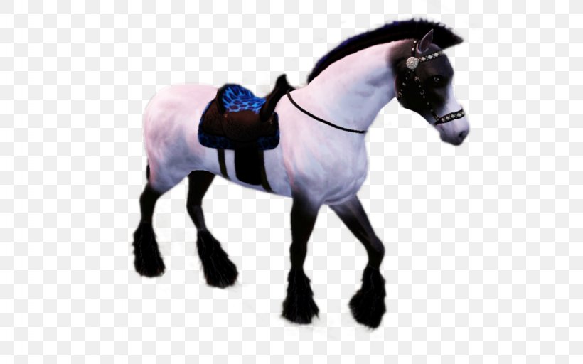 Stallion Mustang Halter Mare Horse Harnesses, PNG, 1024x640px, Stallion, Animal Figure, Bridle, Colt, Dog Harness Download Free