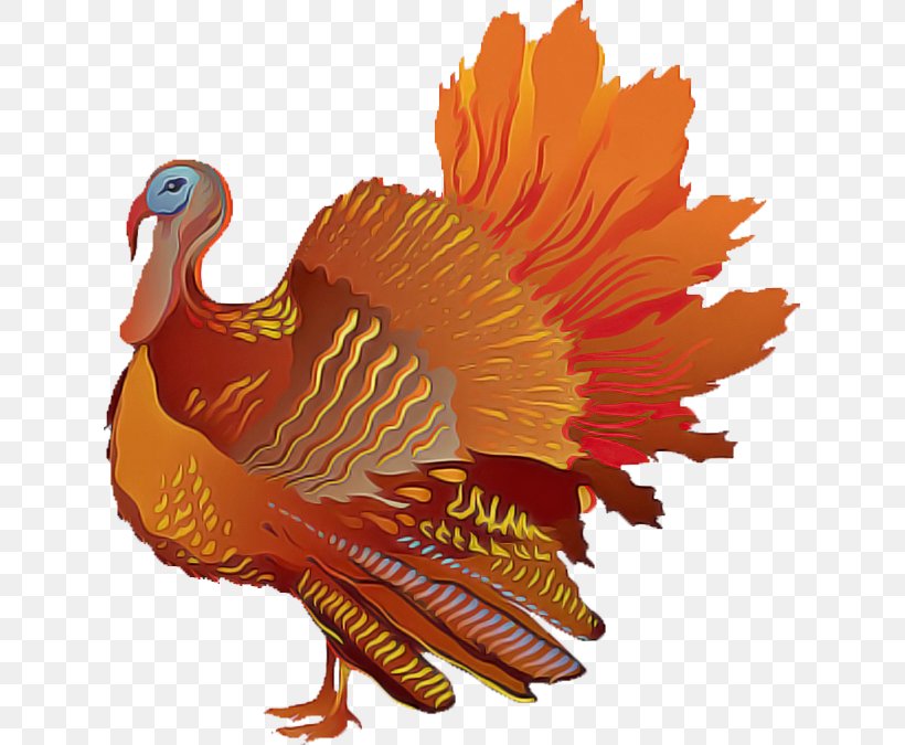 Thanksgiving, PNG, 631x675px, Turkey, Bird, Thanksgiving, Wild Turkey, Wing Download Free