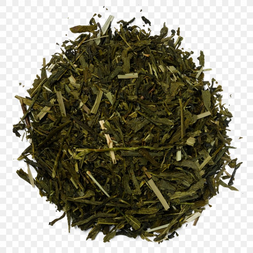 White Tea Green Tea Herbal Tea Tea Blending And Additives, PNG, 1600x1600px, White Tea, Assam Tea, Bai Mudan, Baihao Yinzhen, Bancha Download Free