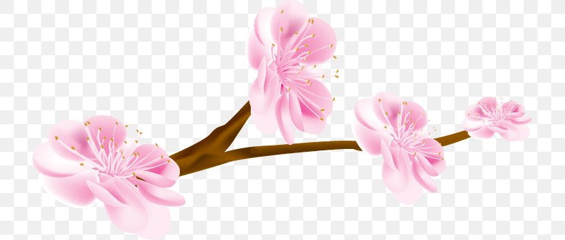 Cherry Blossom Petal Flower, PNG, 725x348px, Cherry Blossom, Blossom, Designer, Floral Design, Flower Download Free