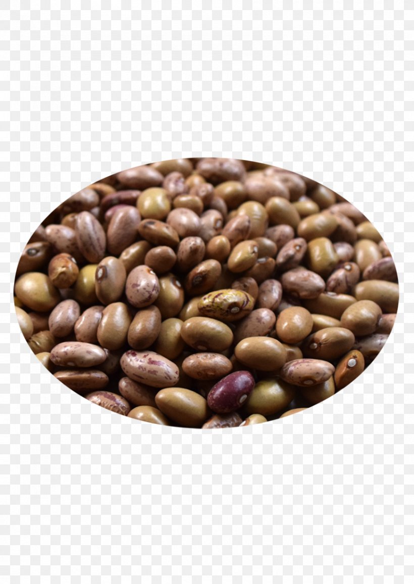 Peanut Cocoa Bean Superfood Seed, PNG, 850x1200px, Nut, Bean, Cocoa Bean, Commodity, Food Download Free