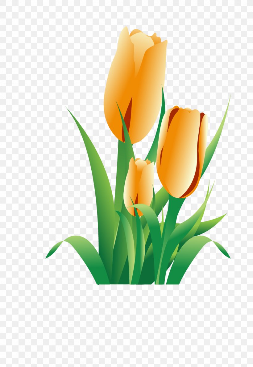 Tulip Flower Icon, PNG, 1047x1520px, Tulip, Cartoon, Cut Flowers, Floral Design, Floristry Download Free