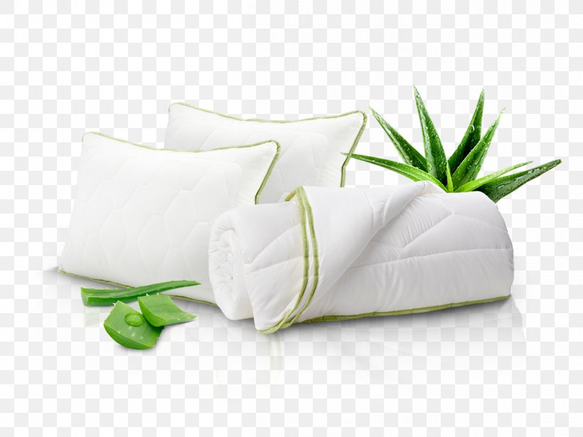 Aloe Vera Plant Pillow Search For Extraterrestrial Intelligence, PNG, 1203x902px, Aloe Vera, Aloes, Linens, Pillow, Plant Download Free