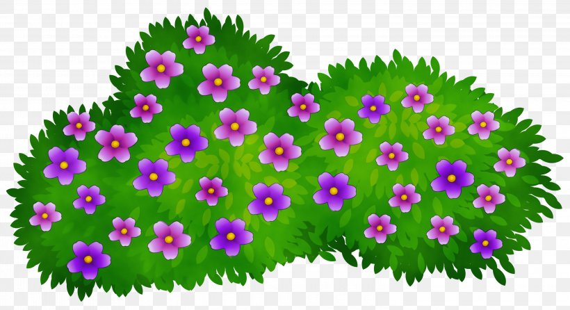 Family Tree Background, PNG, 3000x1632px, Shrub, Annual Plant, Aster, China Aster, Daisy Family Download Free