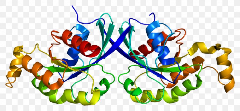 RHOQ Gene GOPC Protein Ras Superfamily, PNG, 1128x524px, Gene, Art, Artwork, Food, G Protein Download Free