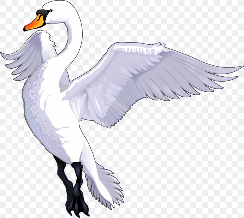 Royalty-free Drawing Cartoon, PNG, 1024x916px, Royaltyfree, Animal, Art, Beak, Bird Download Free