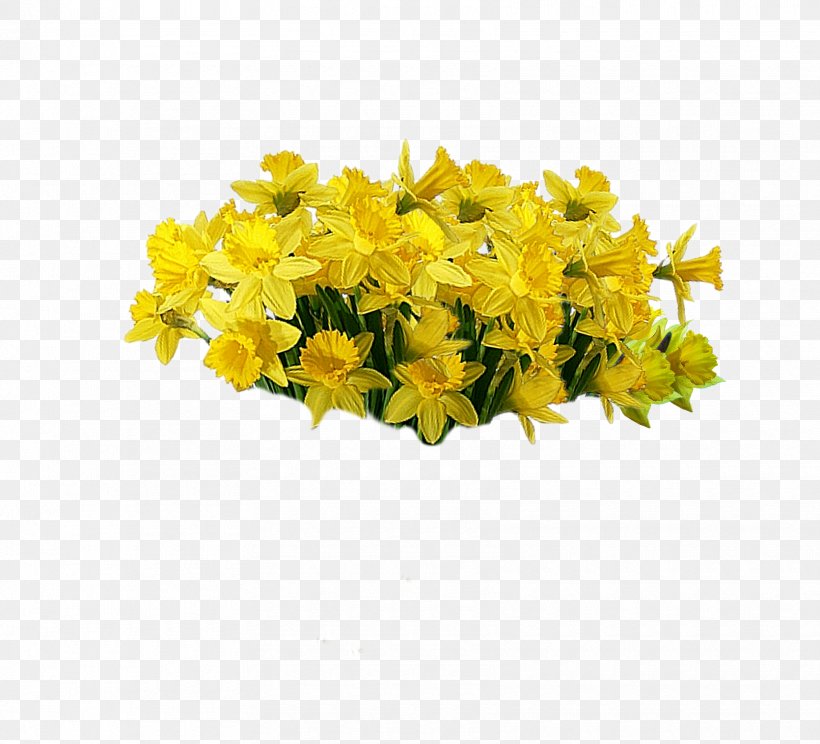 Yellow Cut Flowers Plant, PNG, 1670x1516px, Yellow, Cut Flowers, Flower, Flowering Plant, Ipe Download Free