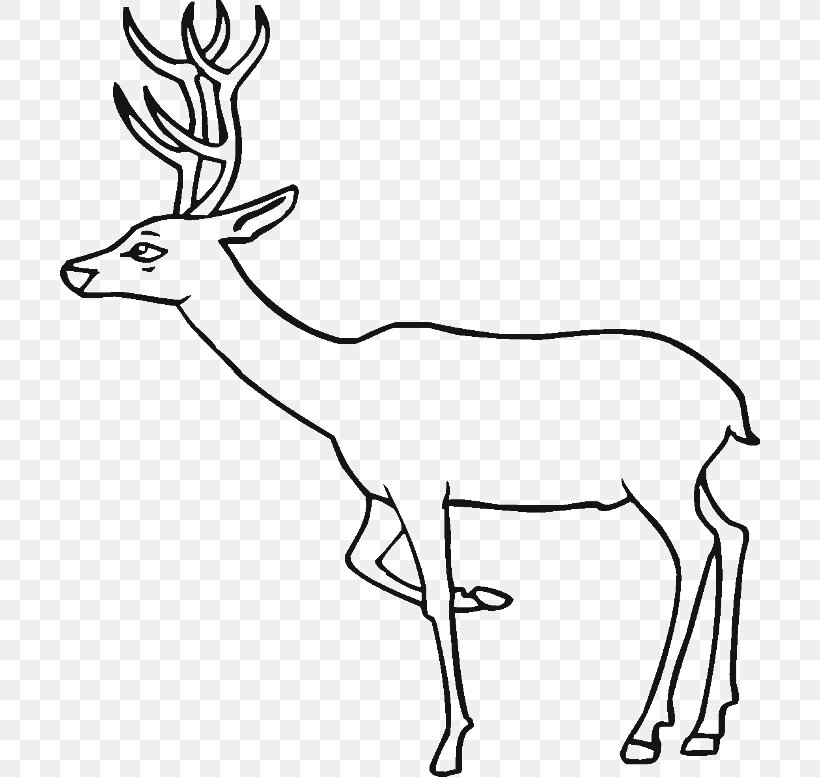 Elk Deer Train Coloring Book Clip Art, PNG, 700x777px, Elk, Animal Figure, Antelope, Antler, Black And White Download Free