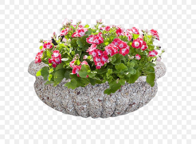 Floral Design Вазон Flower, PNG, 800x600px, Floral Design, Annual Plant, Cachepot, Chaenostoma Cordatum, Concrete Download Free