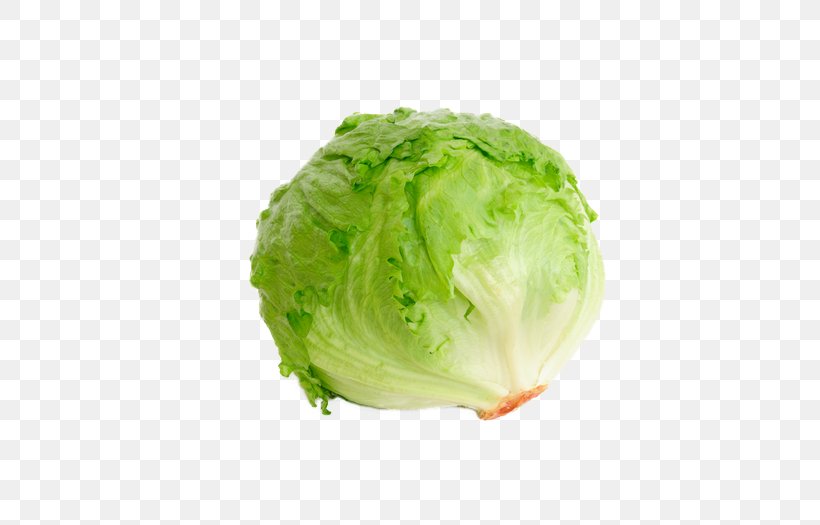 Iceberg Lettuce Organic Food Leaf Vegetable Salad, PNG, 525x525px, Iceberg Lettuce, Cabbage, Cruciferous Vegetables, Food, Frozen Food Download Free