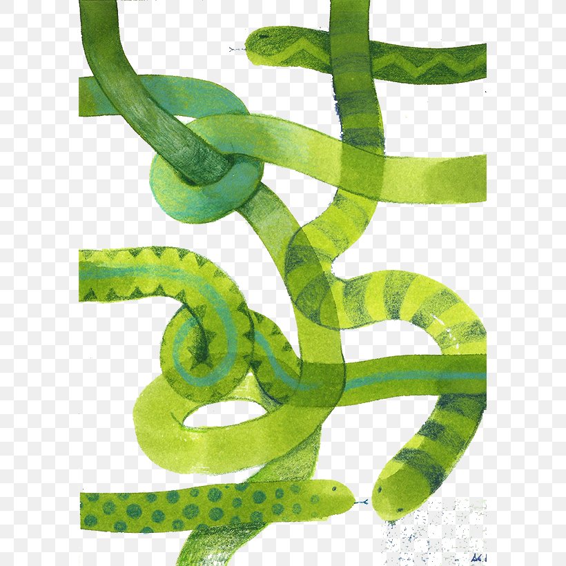 Snake Green Illustration, PNG, 591x820px, Snake, Chart, Color, Display Resolution, Dots Per Inch Download Free