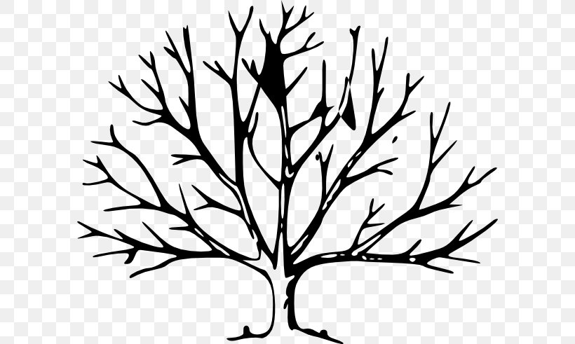 Tree Leaf Trunk Oak Clip Art, PNG, 600x491px, Tree, Artwork, Autumn Leaf Color, Black And White, Branch Download Free