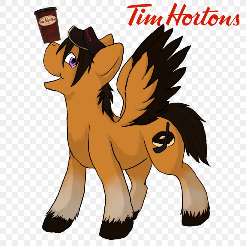 Dog Coffee Tim Hortons Cat Horse, PNG, 900x900px, Dog, Bird, Canidae, Carnivoran, Cat Download Free