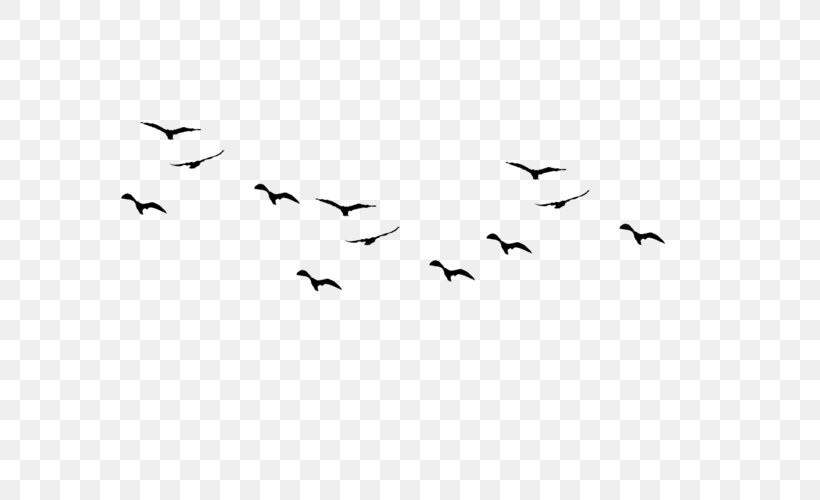 Bird Flight Flock Clip Art, PNG, 666x500px, Bird, Animal Migration, Beak, Bird Flight, Bird Migration Download Free
