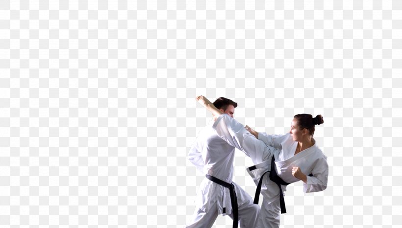 Karate Martial Arts Kick Daido Juku Shotokan, PNG, 2560x1457px, Karate, Arm, Budo, Daido Juku, Dobok Download Free