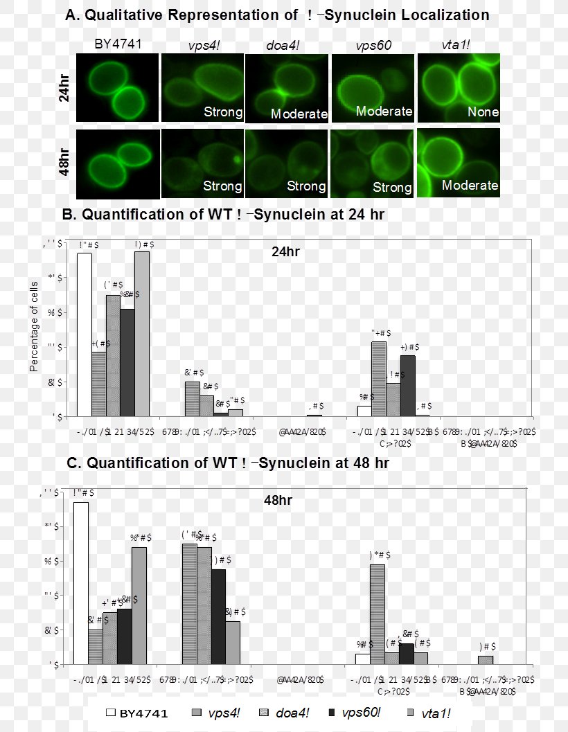 Alpha-synuclein Green Fluorescent Protein Proteopathy Parkinson's Disease, PNG, 758x1057px, Alphasynuclein, Area, Brand, Cell, Chaperone Dnaj Download Free