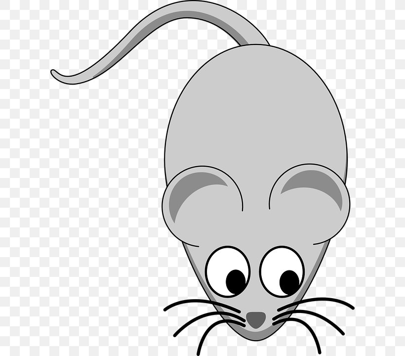 Computer Mouse Clip Art, PNG, 616x720px, Mouse, Animation, Artwork, Black And White, Carnivoran Download Free