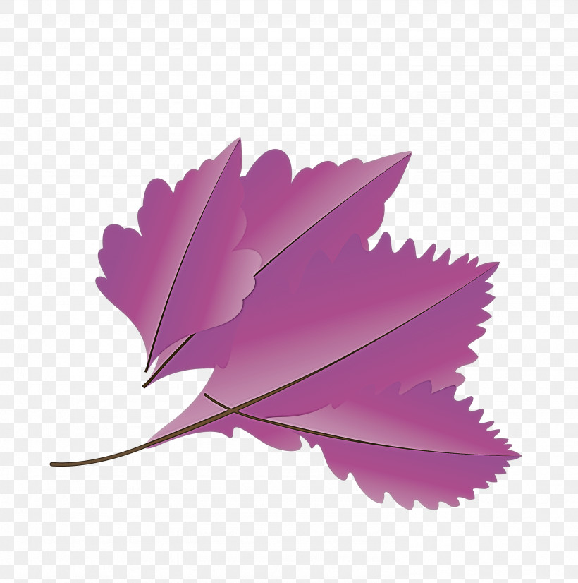 Maple Leaf, PNG, 2976x3000px, Autumn Leaf, Autumn Leaf Color, Cartoon Leaf, Fall Leaf, Flower Download Free