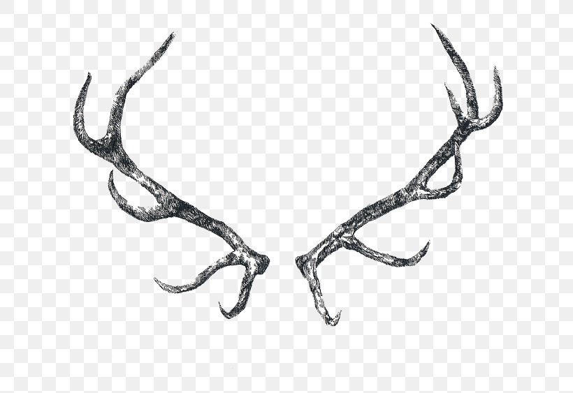 Reindeer Elk Antler Horn, PNG, 640x563px, Deer, Animal, Antler, Black And White, Blacktailed Deer Download Free