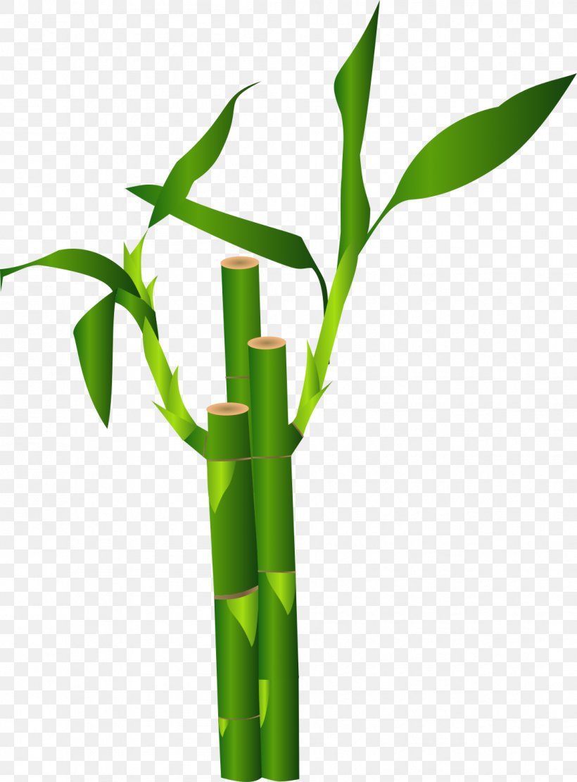 Bamboo Clip Art Vector Graphics Image, PNG, 1108x1500px, Bamboo, Bambou, Drawing, Flowerpot, Grass Download Free