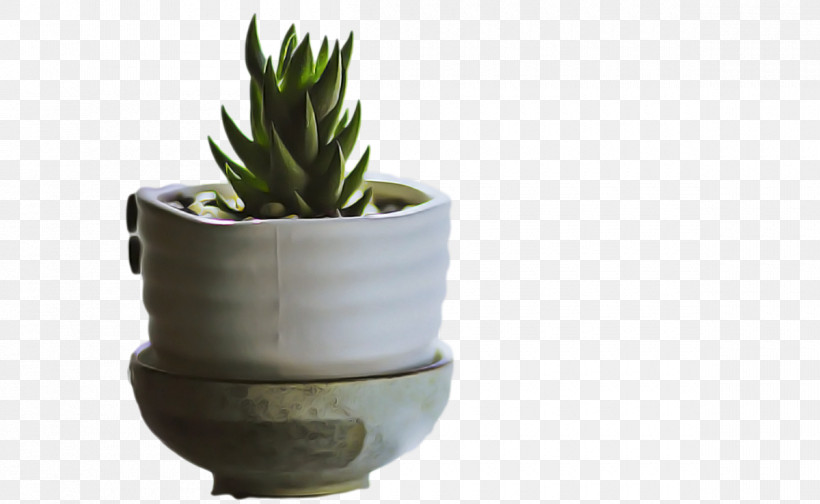 Cactus, PNG, 1200x738px, Ceramic, Cactus, Factory, Flowerpot Download Free