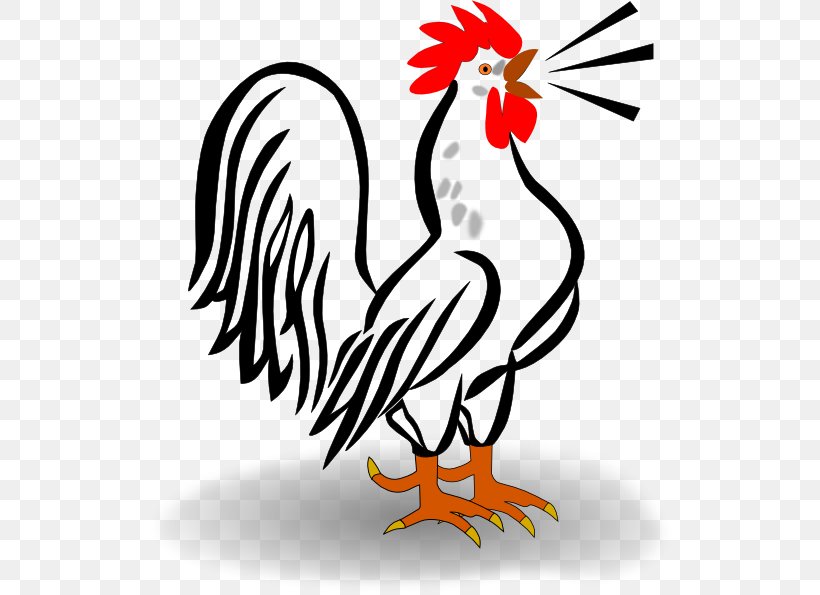 Chicken Rooster Clip Art, PNG, 534x595px, Chicken, Art, Artwork, Beak, Bird Download Free