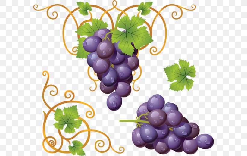 Common Grape Vine Wine Clip Art, PNG, 600x518px, Grape, Common Grape Vine, Document, Flowering Plant, Food Download Free