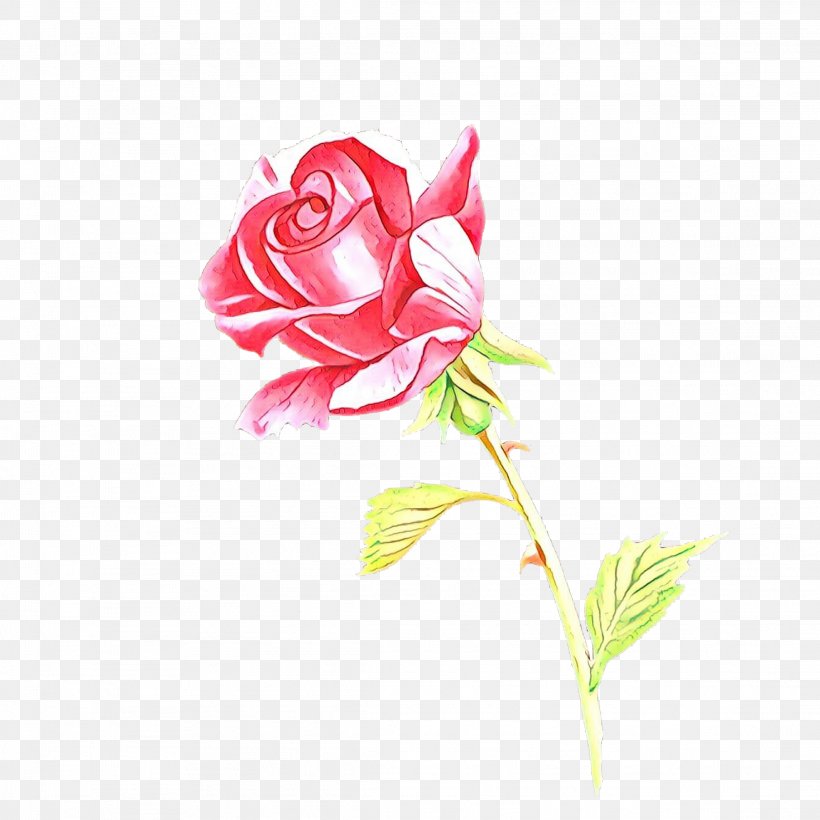 Garden Roses Cabbage Rose Cut Flowers Floral Design, PNG, 2289x2289px, Garden Roses, Artificial Flower, Botany, Bud, Cabbage Rose Download Free