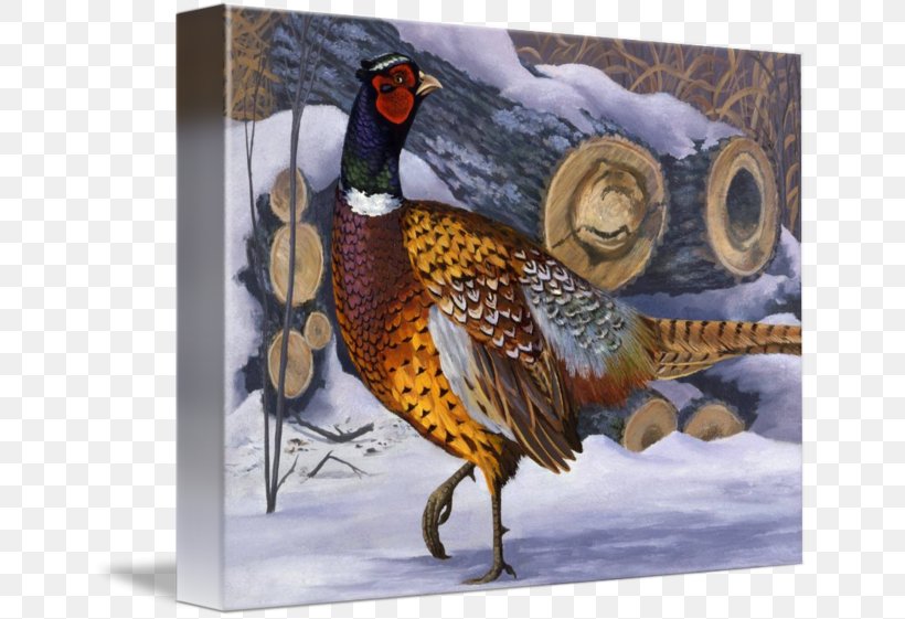 Pheasant Painting Fauna Feather Beak, PNG, 650x561px, Pheasant, Beak, Bird, Fauna, Feather Download Free