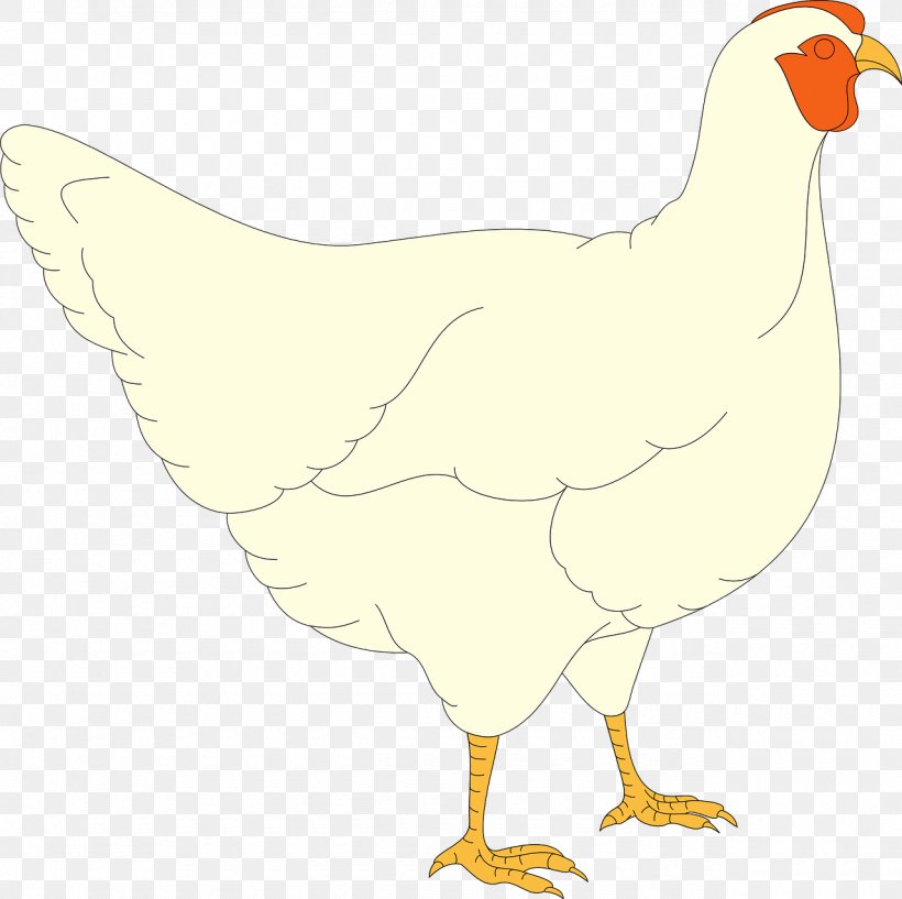 Solid White Clip Art, PNG, 1280x1276px, Solid White, Animal Figure, Beak, Bird, Chicken Download Free