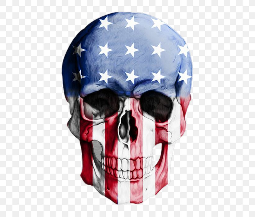 United States LG G2 Human Skull Symbolism Color, PNG, 498x700px, United States, Bone, Color, Flag Of The United States, Human Skeleton Download Free
