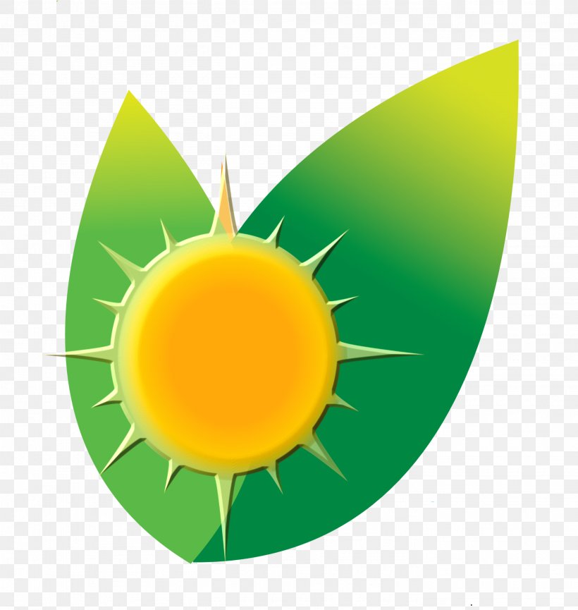 Carib Sun Energy Solar Power Photovoltaic System Graphics Carib People, PNG, 2812x2968px, Solar Power, Carib People, Company, Fruit, Green Download Free