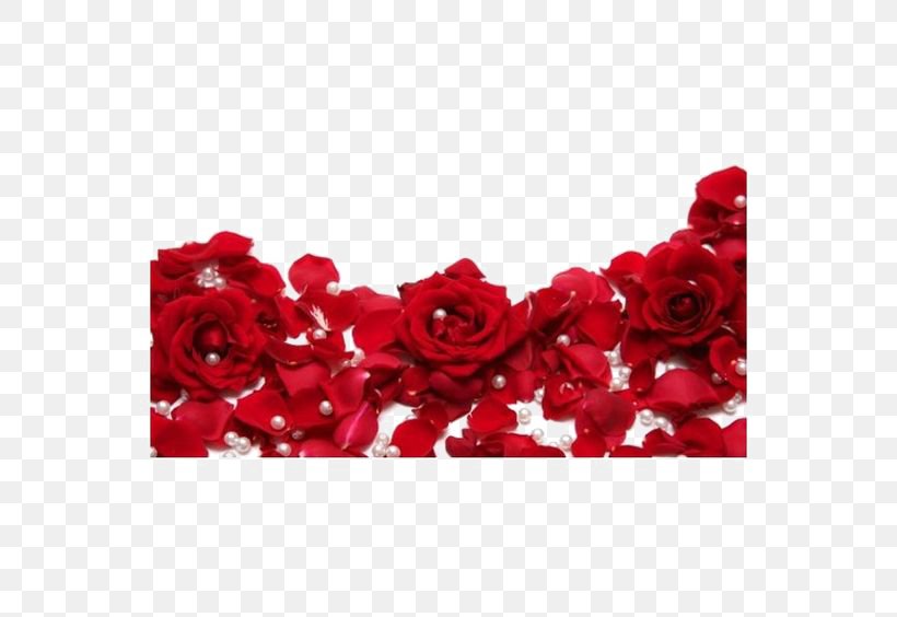 Rose Stock Photography Red White Clip Art, PNG, 564x564px, Rose, Artificial Flower, Cut Flowers, Floral Design, Floristry Download Free
