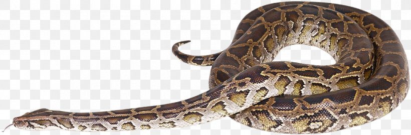 Rattlesnake Reptile Vipers Rendering, PNG, 954x316px, Rattlesnake, Animal Figure, Animation, Clipping Path, Lizard Download Free