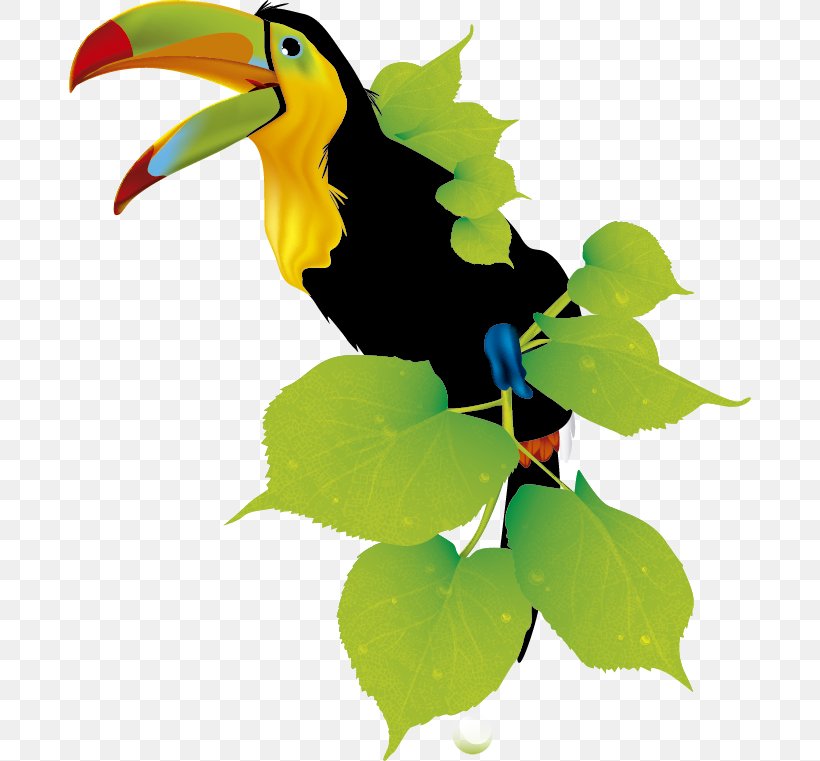 Toucan Responsive Web Design Hornbill, PNG, 682x761px, Toucan, Beak, Bird, Coraciiformes, Hornbill Download Free