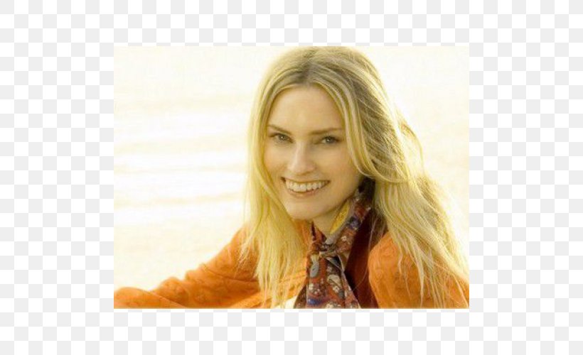 Aimee Mann Blond Lost In Space Layered Hair Hair Coloring, PNG, 500x500px, Aimee Mann, Album, Blond, Brown Hair, Forehead Download Free